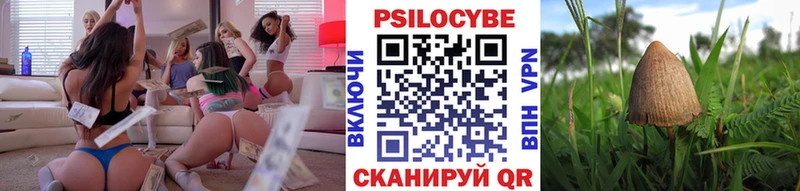 Псилоцибиновые грибы мицелий Копейск